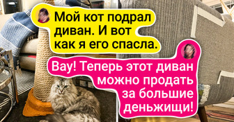 17 человек, чьи золотые руки не дают им сидеть без дела