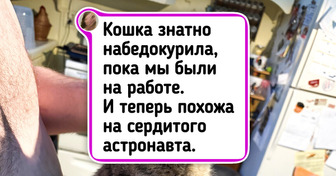 20+ забавных фото животных, у которых, кажется, слетели настройки