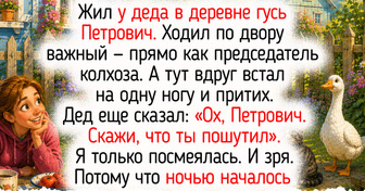 Как животные предсказывают погоду — 10 ярких примет, в которых живут маленькие радости деревенского детства