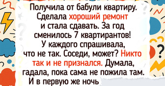 16 арендодателей, которые мечтали о пассивном доходе, а получили активные приключения на свою голову