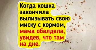 19 живых фото, которые виртуозно сбивают с толку даже самых внимательных