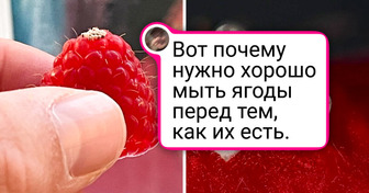16 макроснимков, которые откроют вам дивный новый мир