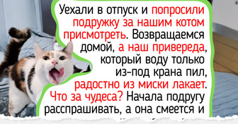 10 летних мелочей в уходе за питомцем, о которых порой забывают даже самые любящие и добрые хозяева