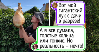 20+ ярких летних фото, после просмотра которых так и тянет на дачу с ее запахом свежей зелени