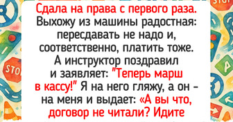 16 историй с курсов вождения, которые выглядят как сцены из комедии