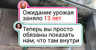 19 человек, чей урожай и глаз радует, и душу греет