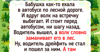 20 добрых историй, которые согреют, как жаркая печь в зимнюю стужу