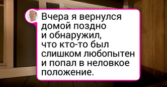 18 питомцев, которые были пойманы на месте преступления, и им ни капельки не стыдно