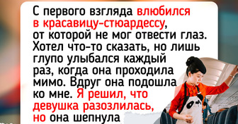14 полетов, во время которых все самое интересное происходило не за иллюминатором, а прямо в салоне