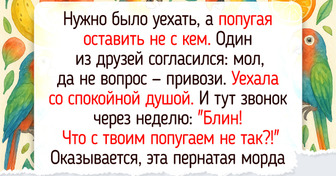 20 животинок, которые выдали такие искренние эмоции, что аж за душу берет