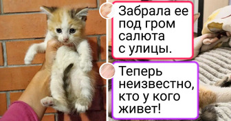 15 теплых историй о том, как люди спасли брошенных животных
