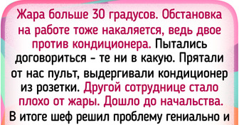 16 доказательств того, что в жару мозги текут даже у самых адекватных людей