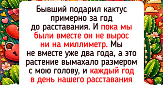 15+ домашних растений, которые живут по каким-то своим законам мироздания