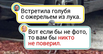 15+ человек, которые оказались под впечатлением от увиденного