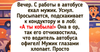 17 историй из общественного транспорта, которые легко поднимут настроение