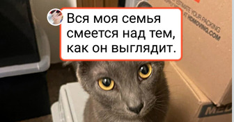 15 животных, которых генетика наградила изюминкой