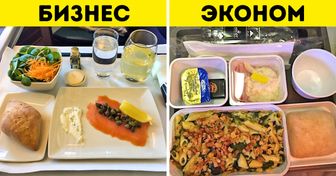 12 фото, которые объяснят разницу между питанием эконом- и бизнес-класса в самолете