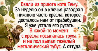 20+ светлых историй и фото о том, как люди дарят котикам любовь и заботу
