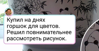 20+ человек, которые вложили в свои домашние растения не только любовь, но и щепотку юмора
