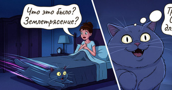 15 комиксов, которые наконец-то «перевели» для нас, о чем на самом деле думают наши питомцы
