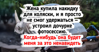 15 фотографий, которые идеально иллюстрируют фразу «папа остался с детьми»