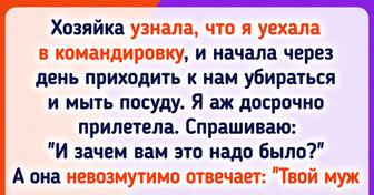 15+ арендодателей, у которых своя непостижимая логика