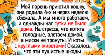 20+ историй, всю соль которых поймет только тот, у кого дома слышен топот пушистых лапок