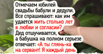 Красивые и полезные: 7 эффектных и неприхотливых растений для вашего подоконника