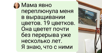 18 цветоводов, которые и на подоконнике в многоэтажке вырастят тропический лес