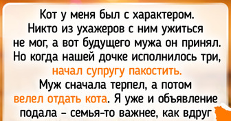 17 теплых историй о животных, которые всегда готовы прийти к нам на помощь в трудный момент