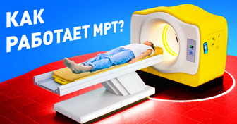 Что происходит с вашим телом, когда вы делаете МРТ?