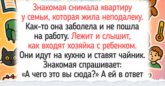 14 человек, которые хотели снять квартиру и жить спокойно — но не тут-то было