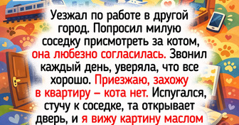 18 историй о пушистиках, которые красят будни хозяев своими выходками
