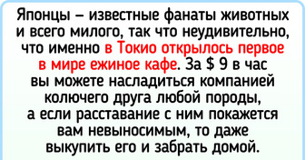 9 небанальных заведений, о которых тянет рассказать во всех соцсетях сразу