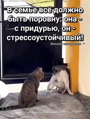 Комментарий с изображением на AdMe.Media