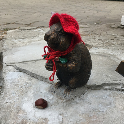 Комментарий с изображением на AdMe.Media