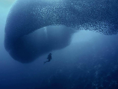 Комментарий с изображением на AdMe.Media