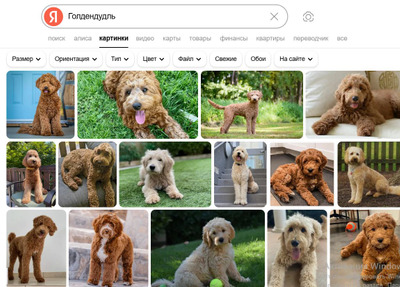 Комментарий с изображением на AdMe.Media