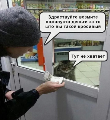 Комментарий с изображением на AdMe.Media