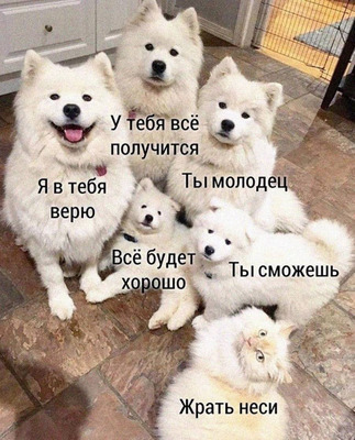 Комментарий с изображением на AdMe.Media