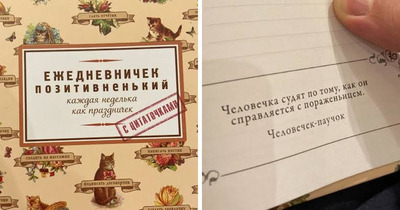 Комментарий с изображением на AdMe.Media