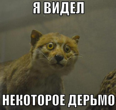 Комментарий с изображением на AdMe.Media