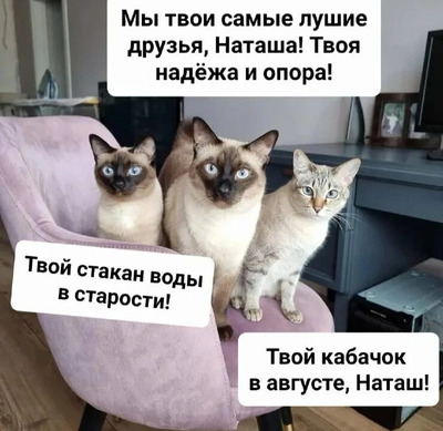 Комментарий с изображением на AdMe.Media