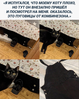 Комментарий с изображением на AdMe.Media