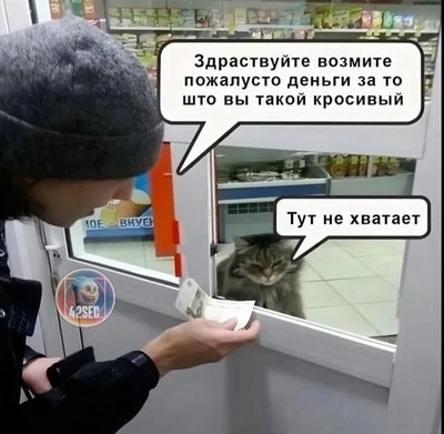 Комментарий с изображением на AdMe.Media