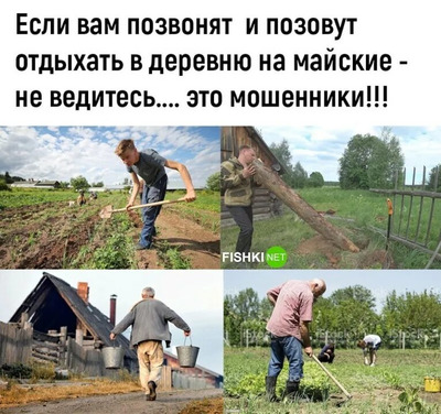 Комментарий с изображением на AdMe.Media