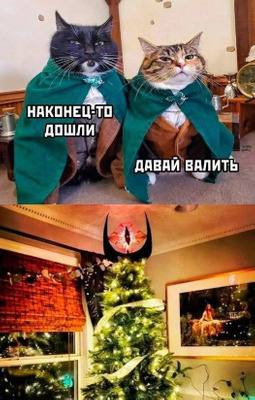 Комментарий с изображением на AdMe.Media