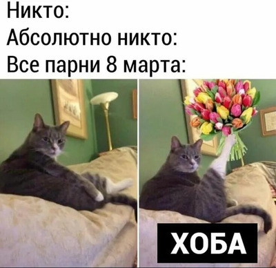 Комментарий с изображением на AdMe.Media