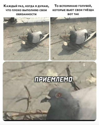 Комментарий с изображением на AdMe.Media