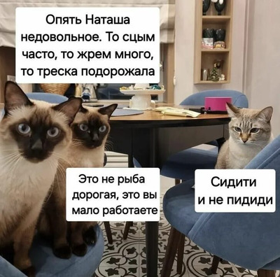 Комментарий с изображением на AdMe.Media